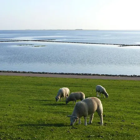Feriehus Hooge In The Haus Halligblick